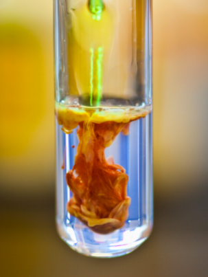 Net Ionic Equations | Chemical Reactions Quiz - Quizizz