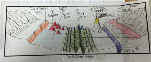 Features of the Ocean Floor | Earth Sciences Quiz - Quizizz