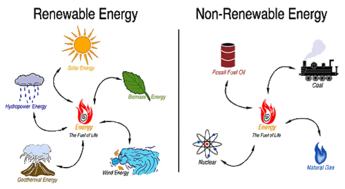 Natural Resources - 3rd/4th Grade | Other Quiz - Quizizz