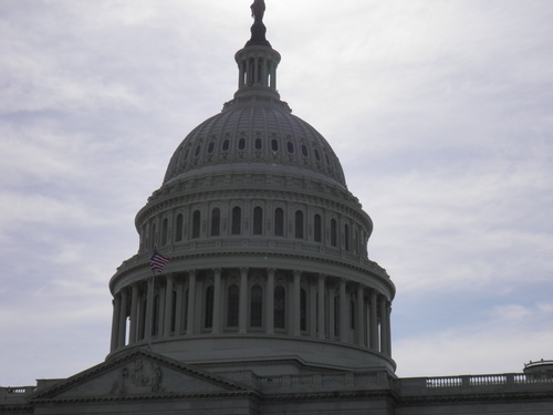 Examples of the legislative branch at work picture